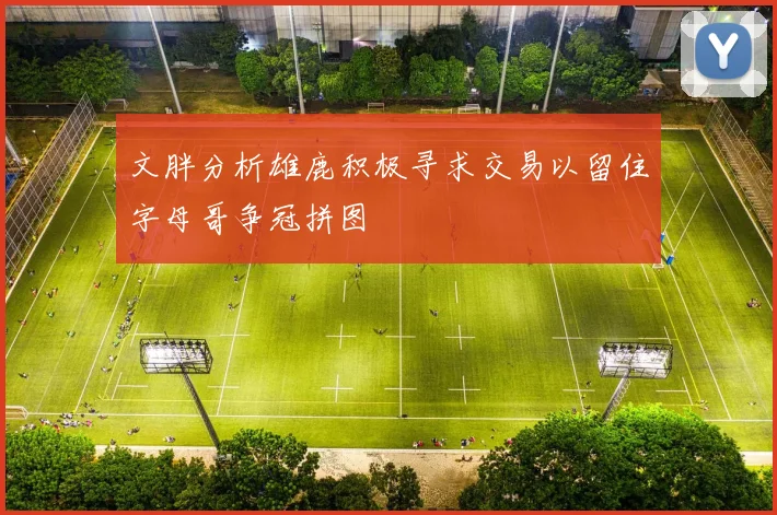 文胖分析雄鹿积极寻求交易以留住字母哥争冠拼图