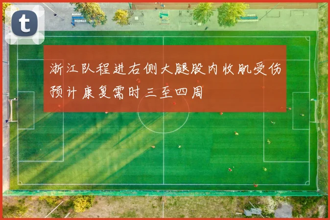 浙江队程进右侧大腿股内收肌受伤预计康复需时三至四周